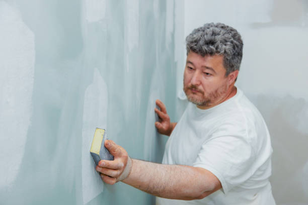 Best Fire-Damaged Drywall Repair  in Deatsville, AL